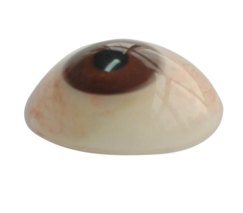 晋中微雕义眼定制